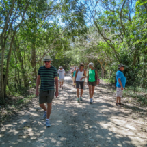 Group walking country road, El Tuito walking tour!-