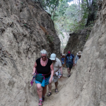 People walking through deep jungle trail.