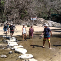 People crossing planks over creek in jungle.