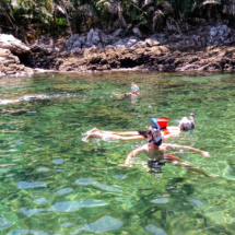 Snorkel time.-123210