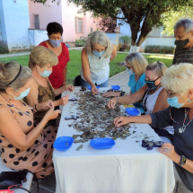 Milagro Workshop Group