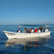 Andrea water taxi, Mismaloya